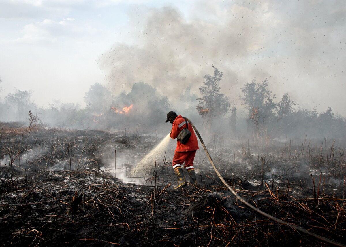 Bảo hiểm phải chi trả 107 tỷ USD năm 2025 vì thiên tai