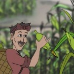 Chuyện người trồng ngô