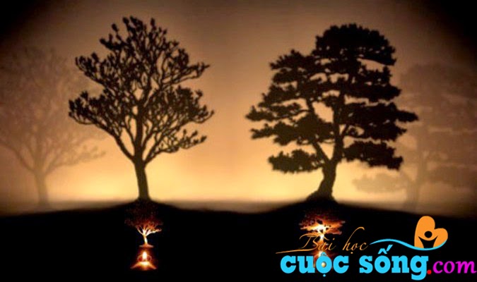 (Bài học cuộc sống) Hai cái cây, bạn sẽ chặt cây nào?